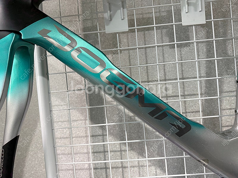 피나렐로 도그마 F (Dogma F) 500 사이즈 – 네뷸라 그린 --3