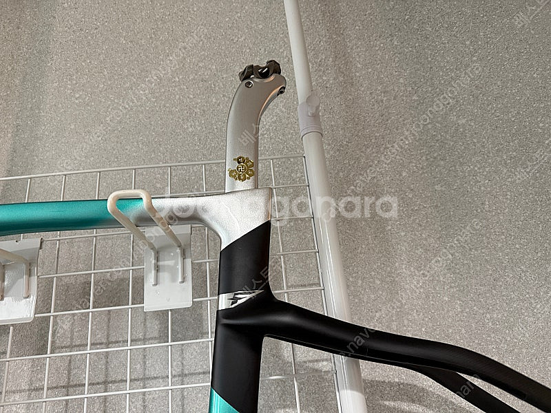 피나렐로 도그마 F (Dogma F) 500 사이즈 – 네뷸라 그린 --6