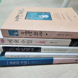 류시화 마음챙김의 시, 인문학 서적, 자기계발서 등