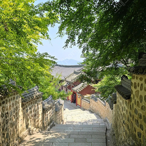 스타벅스 프리퀀시 완성본 4세트 구해요