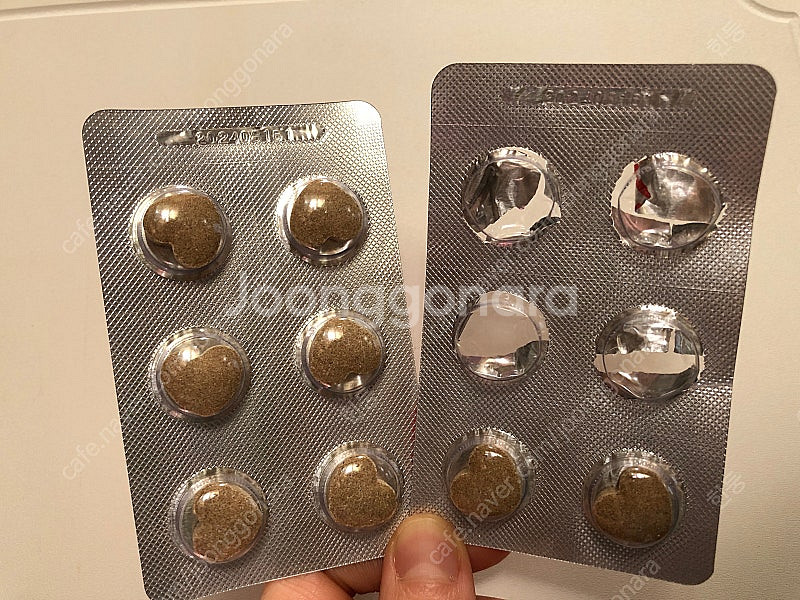 [가격 할인] 닥터벳 하트츄 헤모 26정 + 탐사 강아...--2