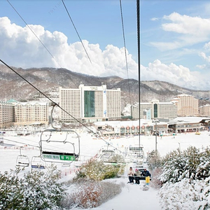 양양/삼척/델피노/변산 오션플레이/서울랜드/ 거제,천안 오션어드벤처