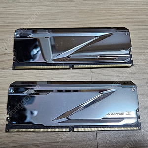 Netac DDR5 RGB 16G 2개