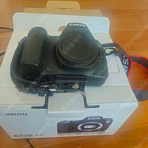 캐논6D