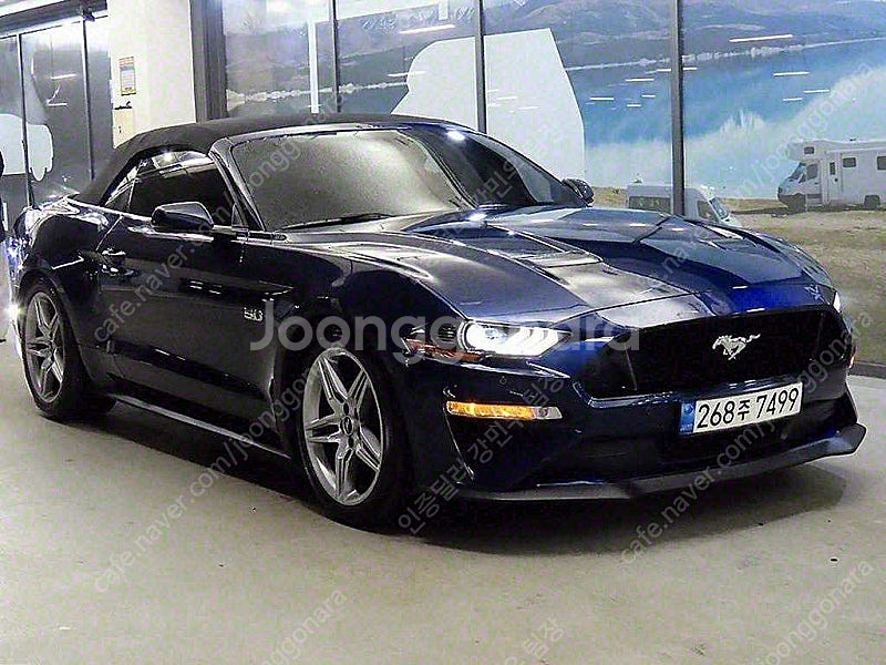 포드 머스탱 중고 머스탱 중고차 파란색 2019년식 5...--0