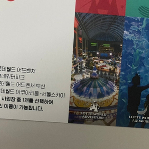 롯데월드 자유이용권