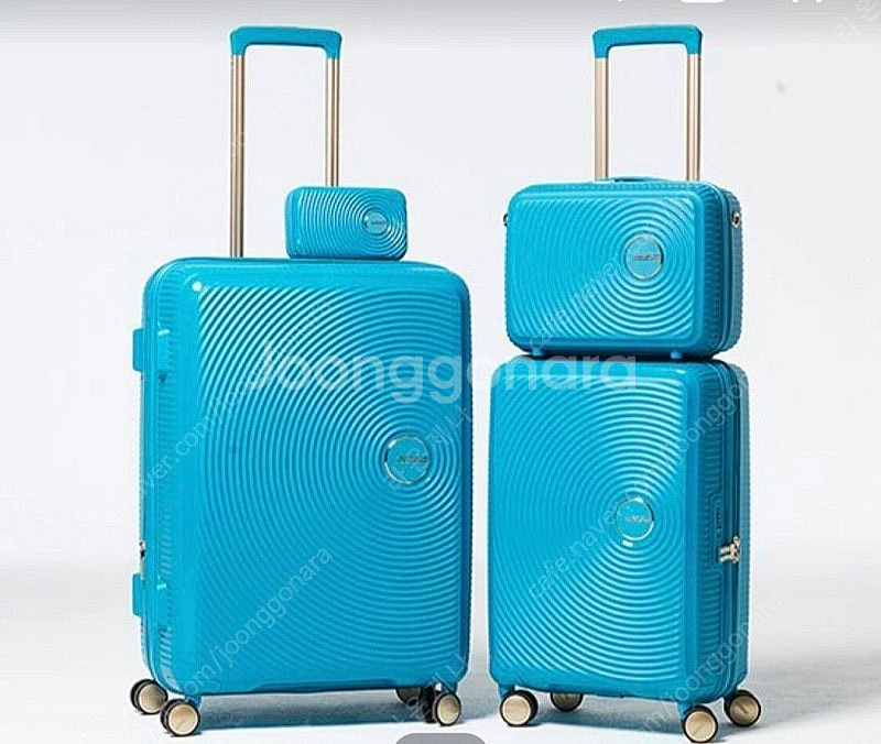 [새상품] 아메리칸투어리스터 큐리오 골드 캐리어 5종(...--0