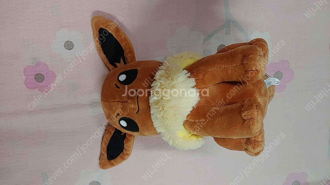 케어베어, 포켓몬, 잎사귀 쿼카 인형 새상품 팝니다--1