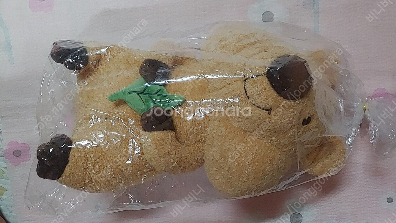 케어베어, 포켓몬, 잎사귀 쿼카 인형 새상품 팝니다--2