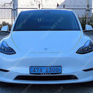테슬라 모델 Y 중고 테슬라 중고 흰색 2021년식 75,693km 스탠다드 레인지 수원중고차