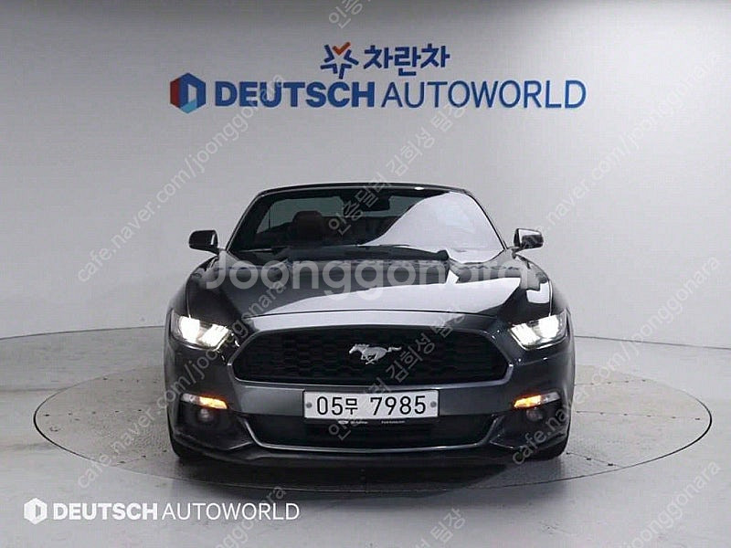 포드 머스탱 중고 머스탱 중고차 회색 2017년식 81...--3