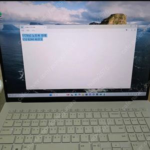 엘지 그램 17Z90S 판매