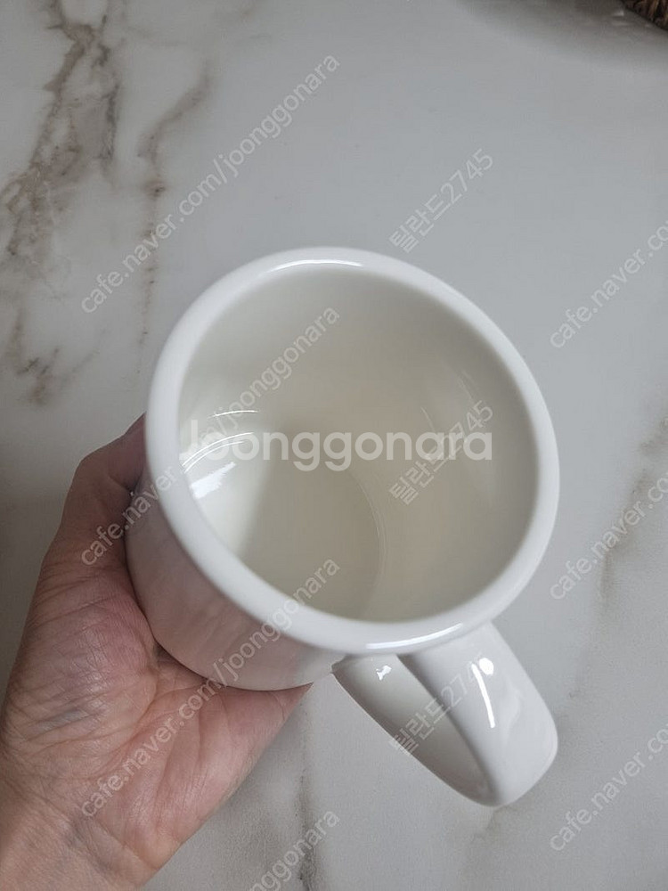 시라쿠스 머그컵--3