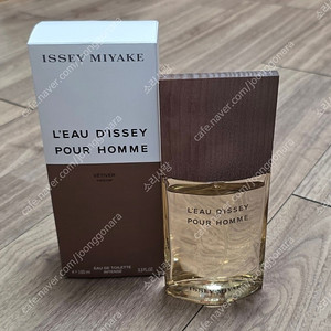 이세이미야케 로디세이 뿌르옴므 베티버 엥땅스 100ml
