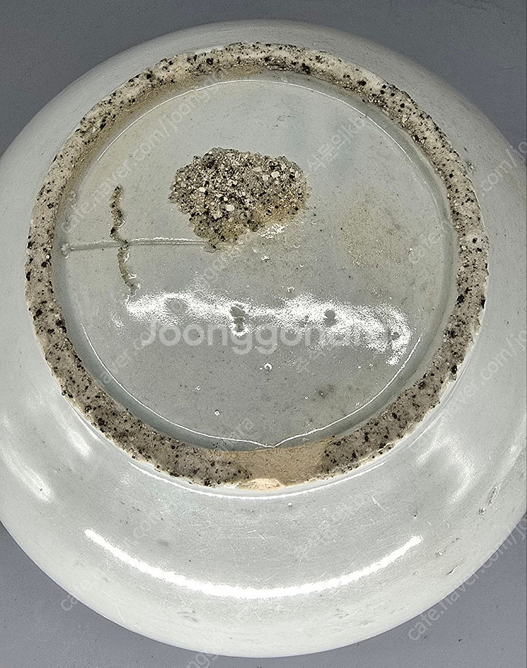 조선시대 분원 백자청화목단문호--5