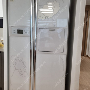 LG DIOS 양문형 냉장고 R-T691MH
