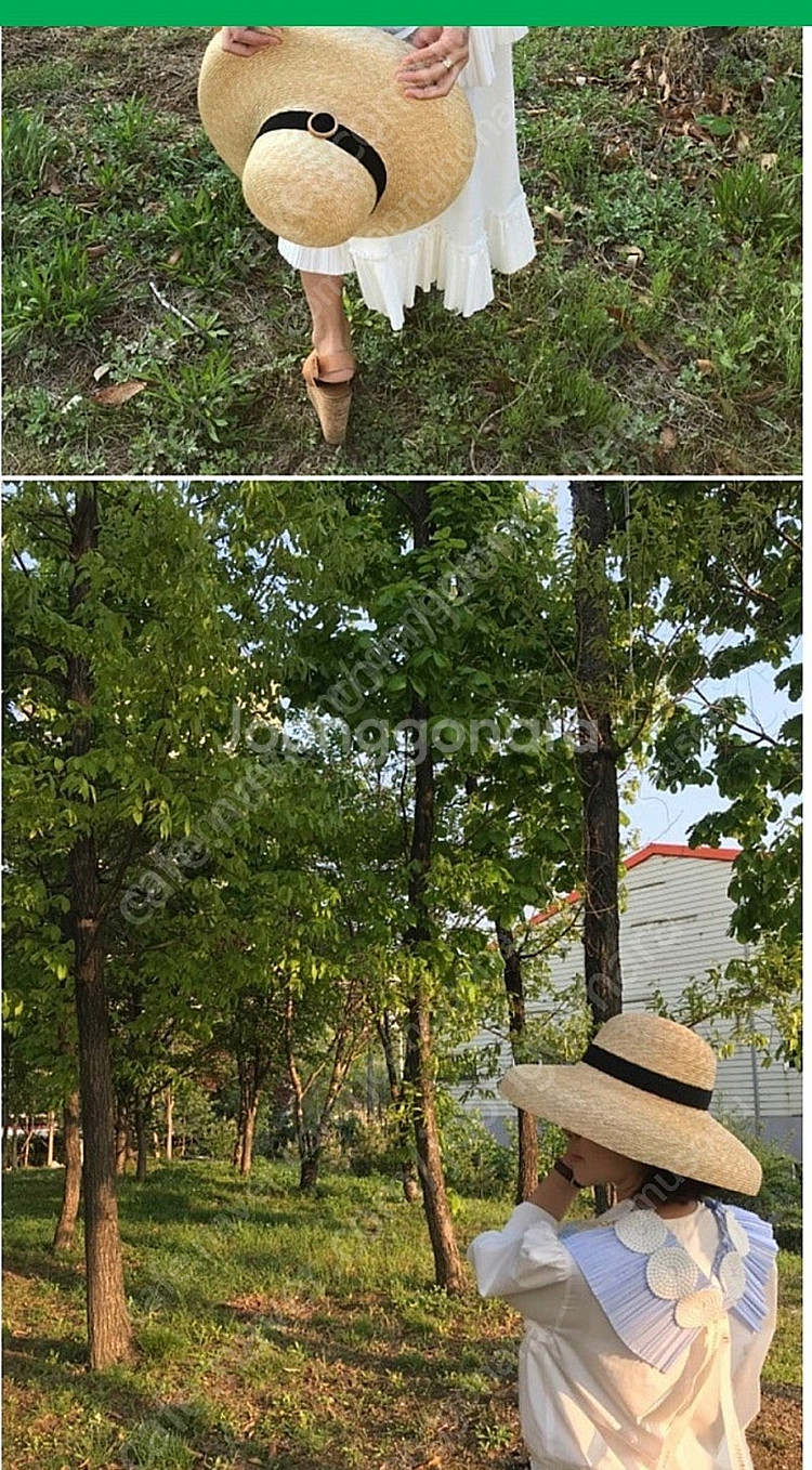 드주이 머쉬룸햇--2