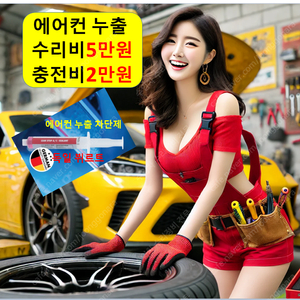 에어컨 수리 5만/ 충전 2만! 자동차 차량 서울 부산 대전 광주 하남 의정부 구리 성남 과천 인천 안양 시흥 수원 용인 화성 여주 이천 오산 평택 천안 청주 전주 목포 김해 울산