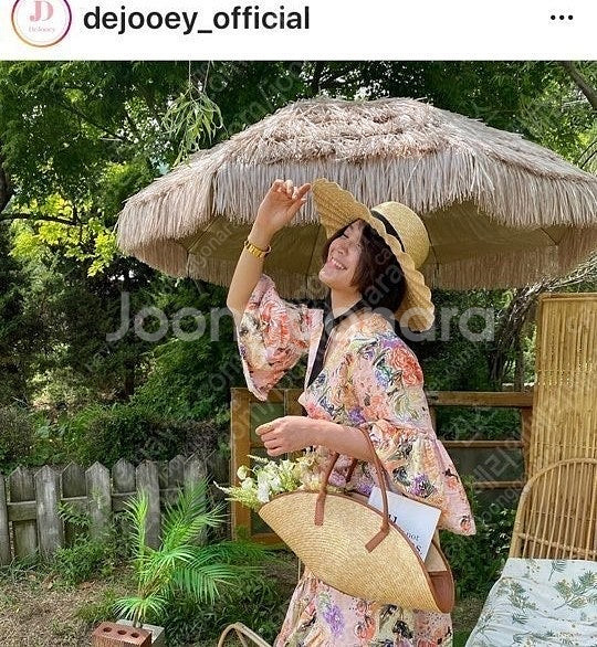 드주이 햇--3