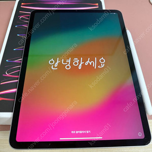 아이패드 프로 4세대 11인치 m2 256기가 스그+애펜2
