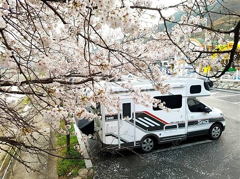 스타렉스 캠핑카 중고 가격 스타렉스 중고캠핑카 가격 흰...--2