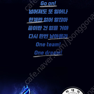 불꽃야구 외야석 팝니다!!!!!!!!!!!