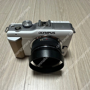 올림푸스 E-PL1 바디 + 파나소닉 14mm F2.5 단렌즈 셋트 , 파나소닉 GF1 14-45mm 번들킷 , 올림푸스 FL-14 스트로보 판매합니다.