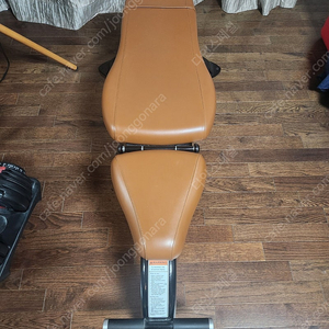 CYBEX 싸이벡스 멀티 벤치 와 운동기구들 끼워드립니다