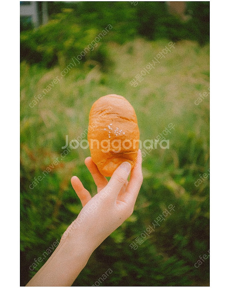 후지 xm5 t5 실버로 구해봅니다^^--0