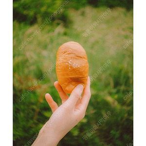 후지 xm5 t5 실버로 구해봅니다^^