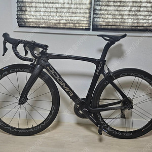 피나렐로 도그마F10 515사이즈