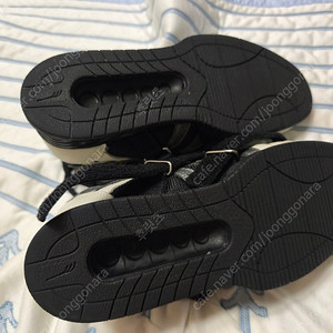 두윈 역도화 WL9551 265mm 판매합니다.