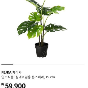 이케아 페이카 인조식물 조화 몬스테라 3만원