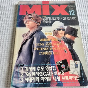 1995년,서태지와아이들,장국영,타락천사,왕가위,BEYOND박진영,김민기,휘트니 휴스턴,12월.MiX,