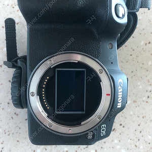 Canon EOS R8, RF 35 mm F1.8 MACRO IS STM, EOS RP...