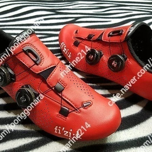 BONTRAGER 트랙 본트레거 XXX 트리플엑스 최상급 카본 로드클릿슈즈