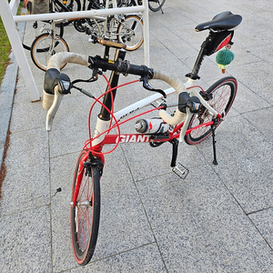 자이언트 CFR2 팝니다.
