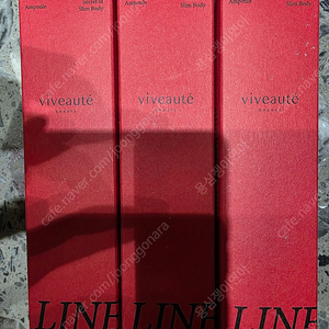 비보떼 라인핏 앰플