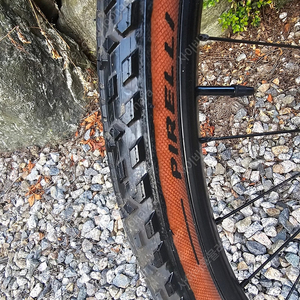 피렐리 신투라토 그래블 M 40C 타이어+ 피렐리 튜브