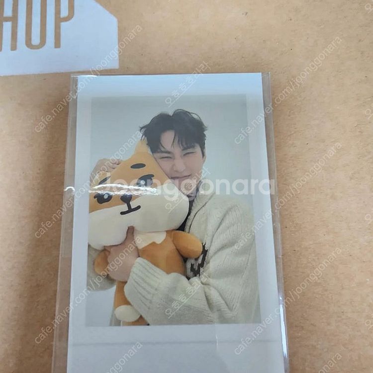 자이언트 데니멀즈 영케이 폴라로이드 포카--0
