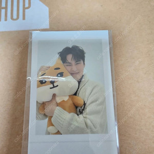 자이언트 데니멀즈 영케이 폴라로이드 포카