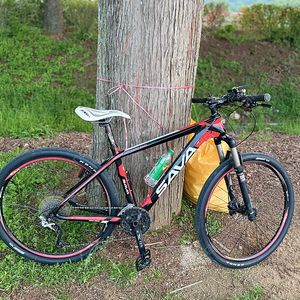 카본 MTB 자전거 팝니다