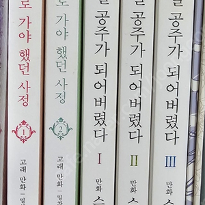 어느 날 공주가 되어버렸다(어공주) 1권~3권, 그녀가 공작저로 가야 했던 사정(그공사) 1권~2권 / 웹툰 단행본
