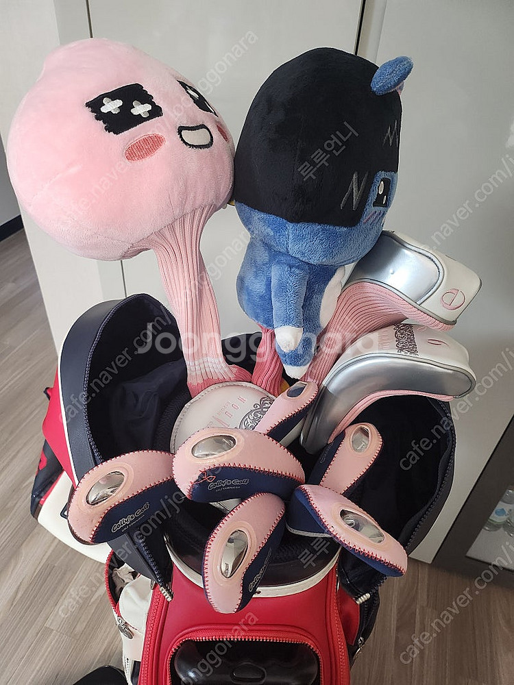 엘로드 골프채 풀세트 파리게이츠 가방 풀셋--4