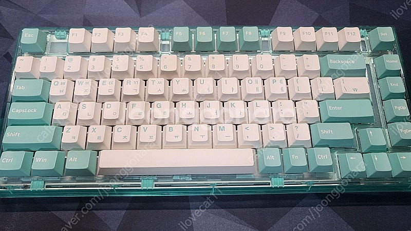 앱코 ag75w 민트 갈축 판매합니다--0