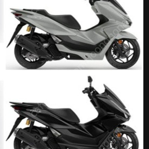 부산 pcx 25년식 신차 판매합니다