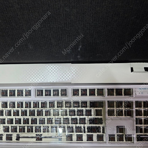 레오폴드 fc900rbt 밀크터쿼이즈 갈축 본체만