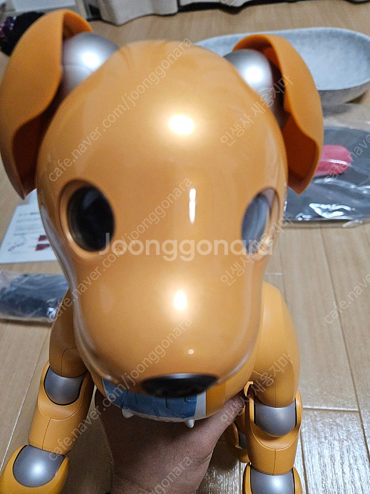 (A급 중고) 소니 아이보(AI로봇 강아지) 기본 필수...--3