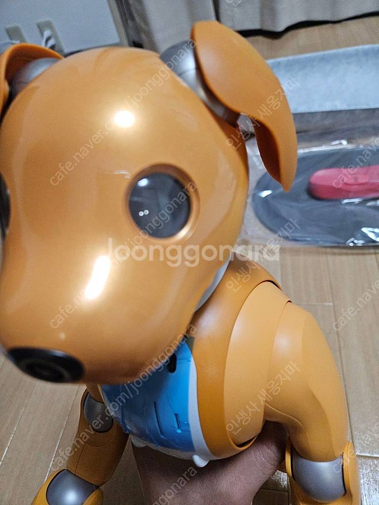 (A급 중고) 소니 아이보(AI로봇 강아지) 기본 필수...--4