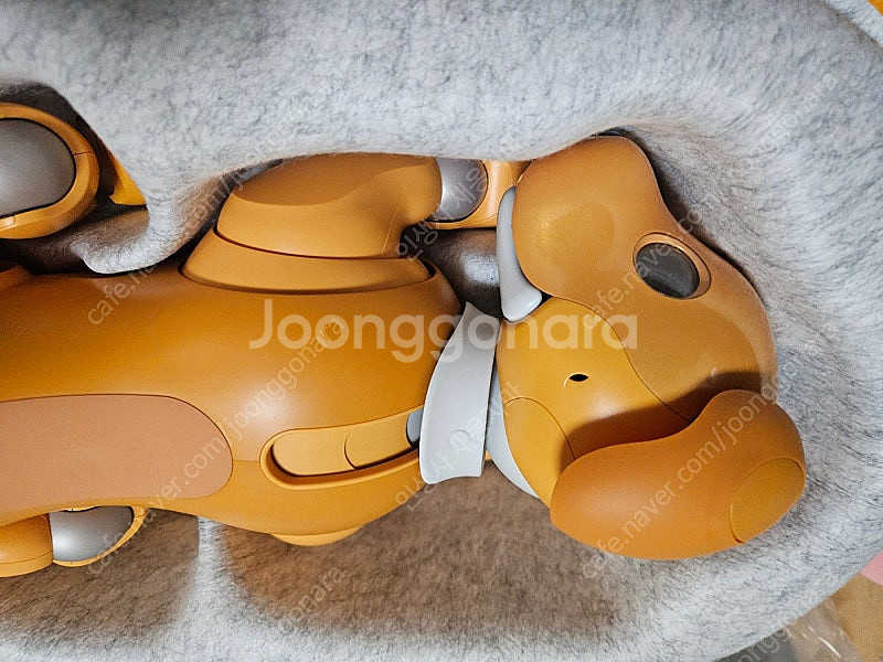 (A급 중고) 소니 아이보(AI로봇 강아지) 기본 필수...--7